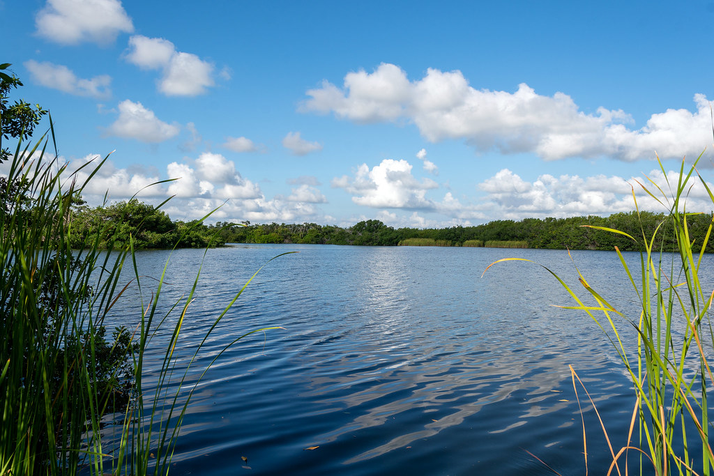 Miami Itinerary 4 Days, Everglades National Park