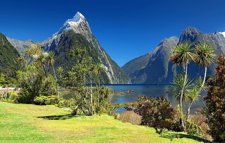 New Zealand South Island Itinerary 14 days
