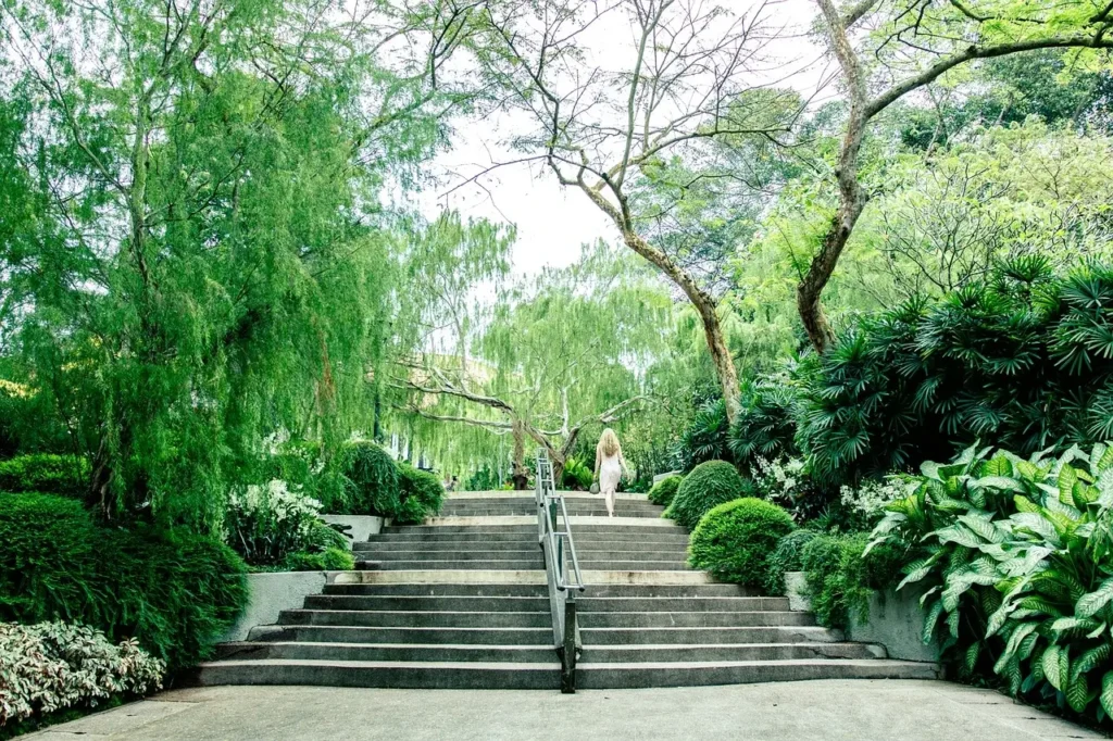 Singapore Itinerary 7 Days, Singapore Botanic Gardens